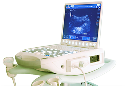Real-Time Ultrasound